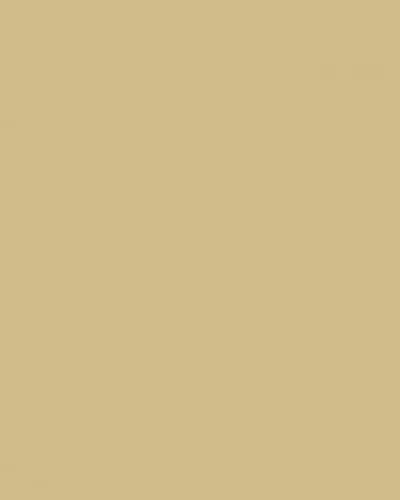 Beige-Opaque pigment