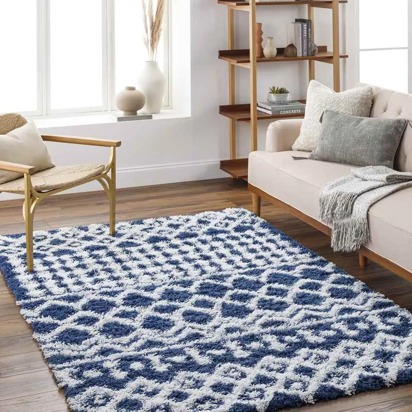 Carter Shag Area Rug Carpet for Living Room Bedroom or Kitchen