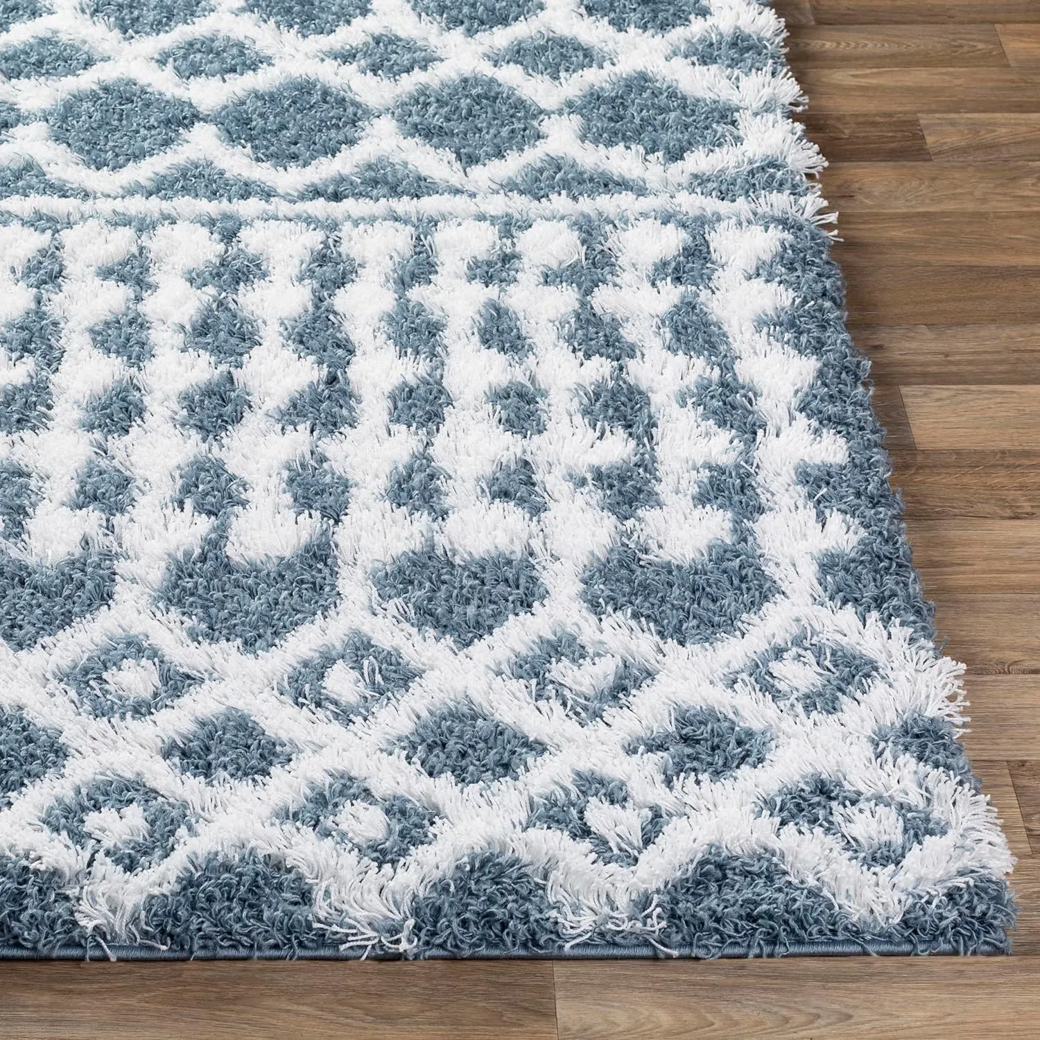 Carter Shag Area Rug Carpet for Living Room Bedroom or Kitchen