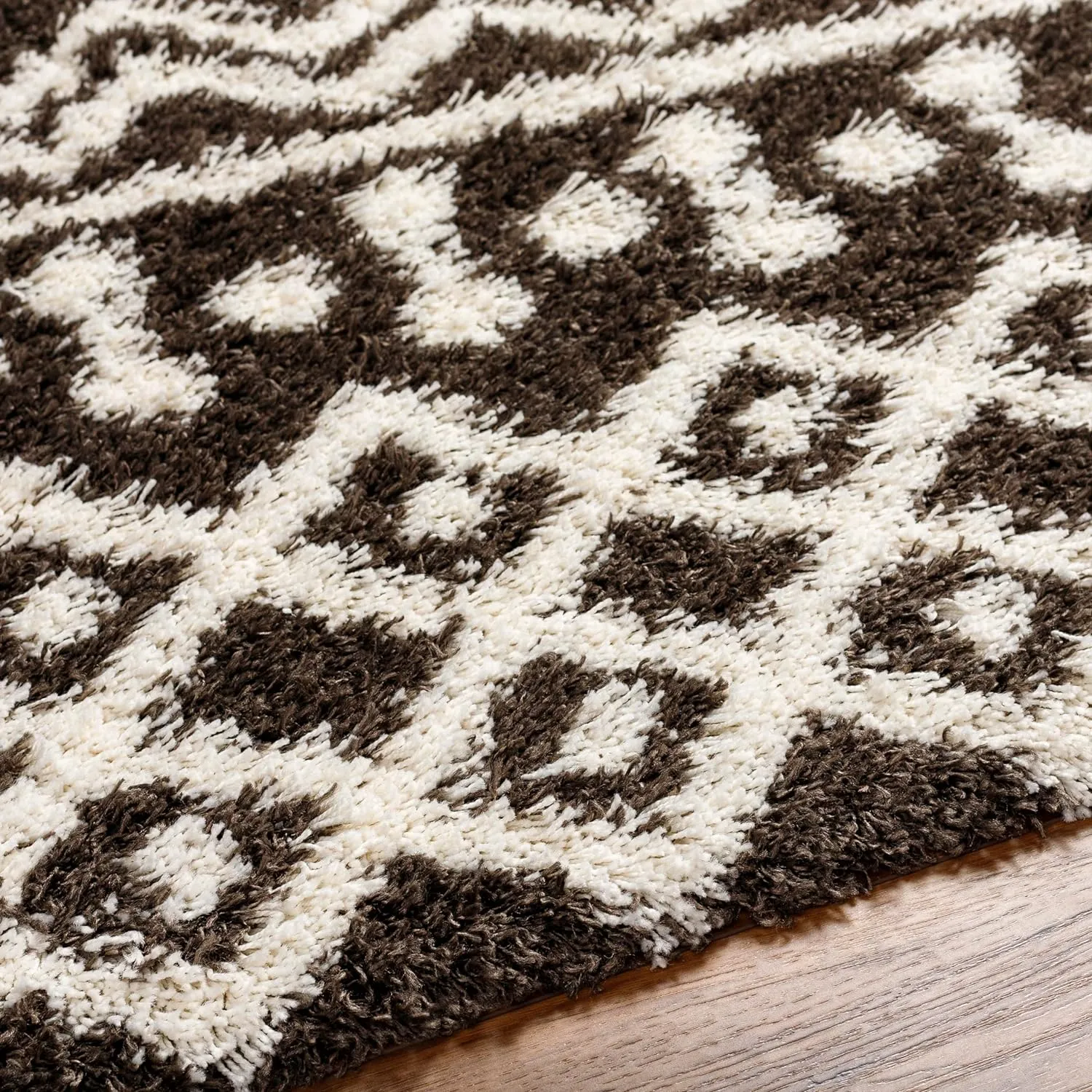 Carter Shag Area Rug Carpet for Living Room Bedroom or Kitchen