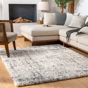 Indianheadpark Shag Beige Area Rug Carpet for Living Room Bedroom or Kitchen