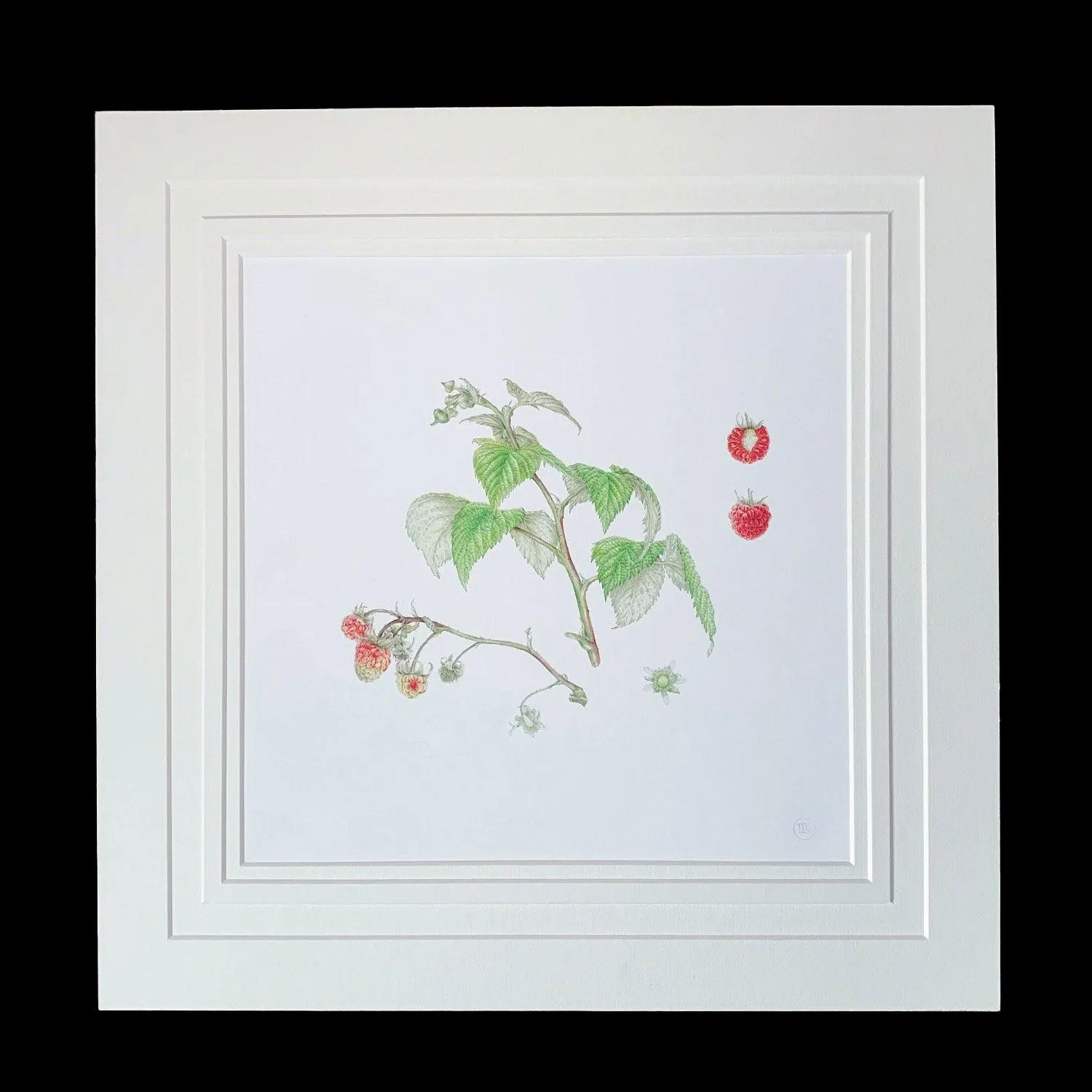 Limited Edition Print "Raspberry"